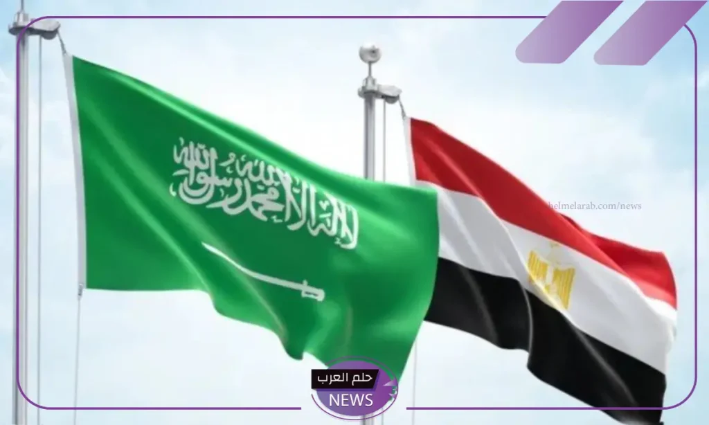 المشاريع الاستثمارية السعودية في مصر